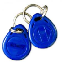 Cheie de acces Touch Memory. Protocol: Dallas