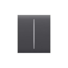 Ajax CenterButton (2-gang) [55] Graphite Buton central pentru comutator cu două chei