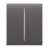 Ajax CenterButton (2-gang) [55] Grey Buton central pentru comutator cu două chei