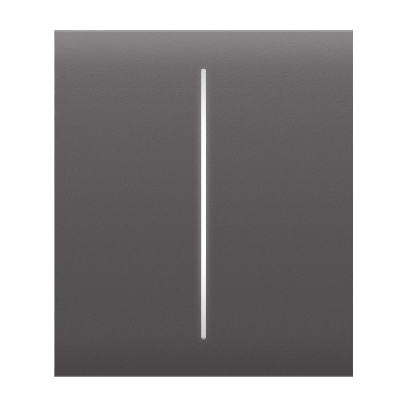 Ajax CenterButton (2-gang) [55] Grey Buton central pentru comutator cu două chei