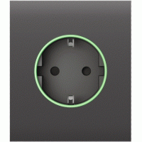 Ajax CenterCover (smart) [type F] [55] ASP Grey Panoul central și capacul prizei