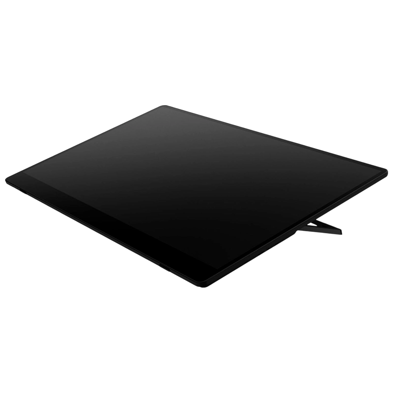 Ricoh 150BW 15.6" Дисплей (Чёрный)