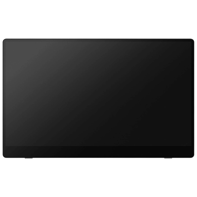 Ricoh 150BW 15.6" Дисплей (Чёрный)