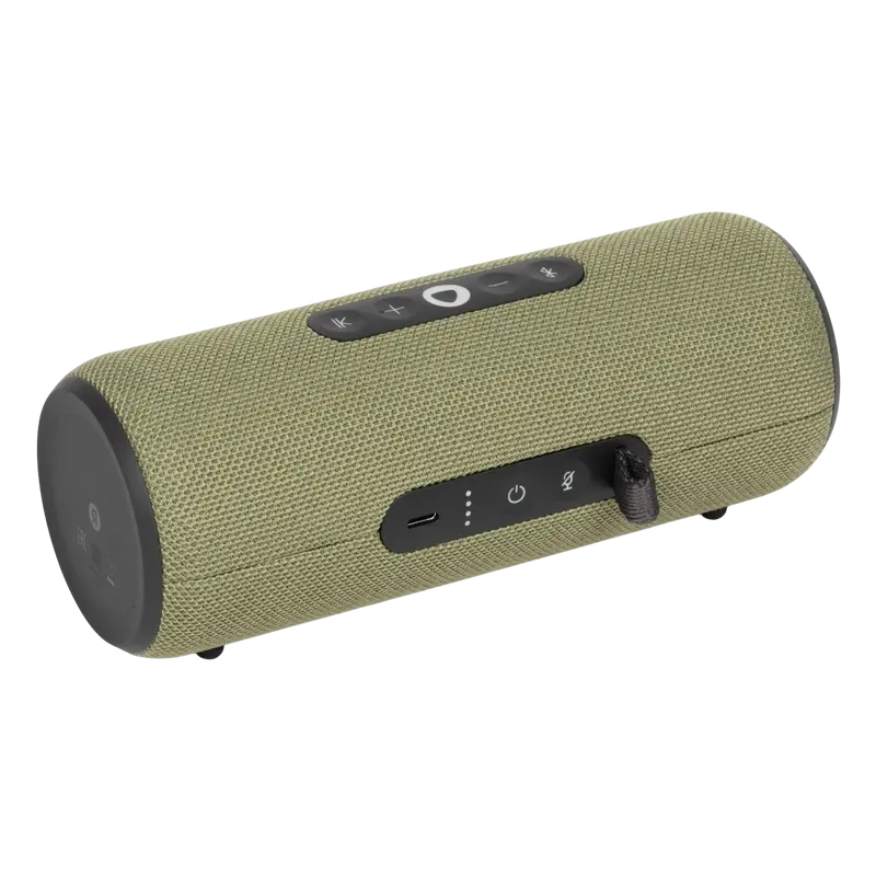 Yandex Station Street, Boxă inteligentă (Green)