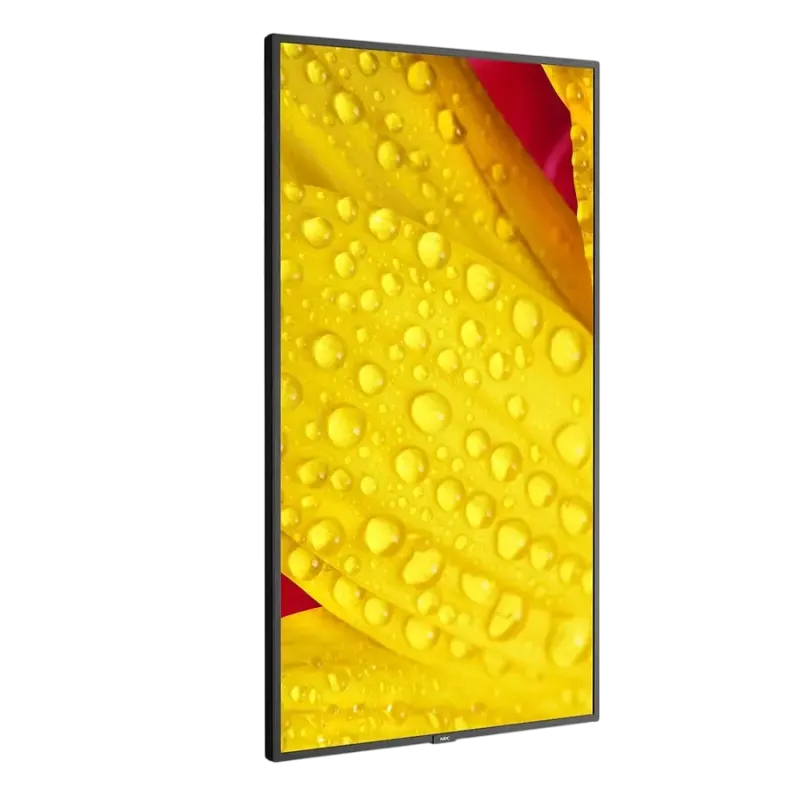NEC MultiSync M651-2 65" Рекламный монитор (Чёрный)