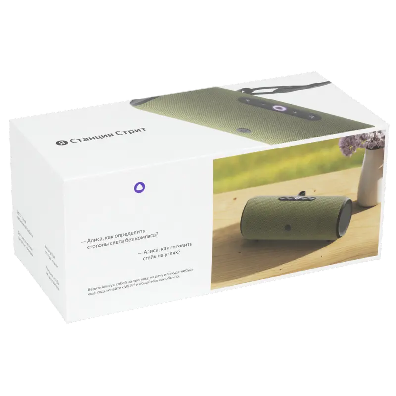 Yandex Station Street, Boxă inteligentă (Green)