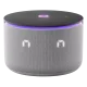 Yandex Station Mini 3 Pro YNDX-00059GRY, Zigbee, Silver - Boxe inteligente