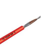Detector liniar termic de incendiu TS155N