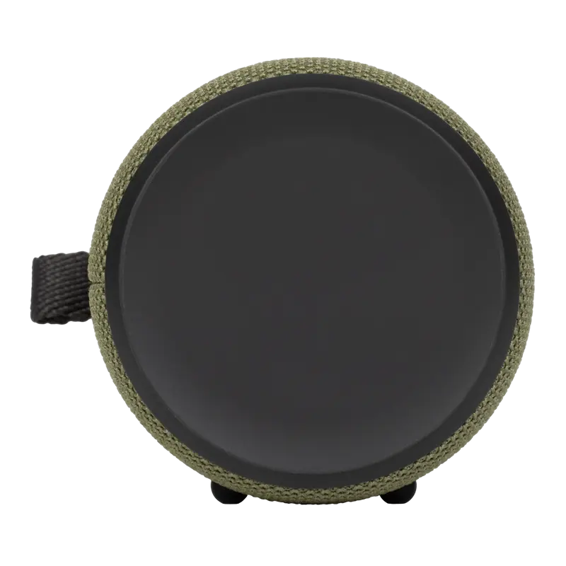 Yandex Station Street, Boxă inteligentă (Green)