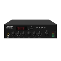Mini-amplificator multifuncțional cu modul Bluetooth, USB și radio FM integrat PA250UB.