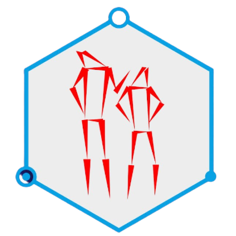 TRASSIR Pose Detector