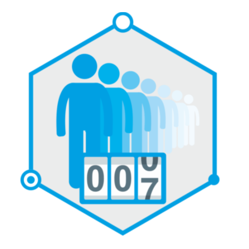 TRASSIR Queue Detector
